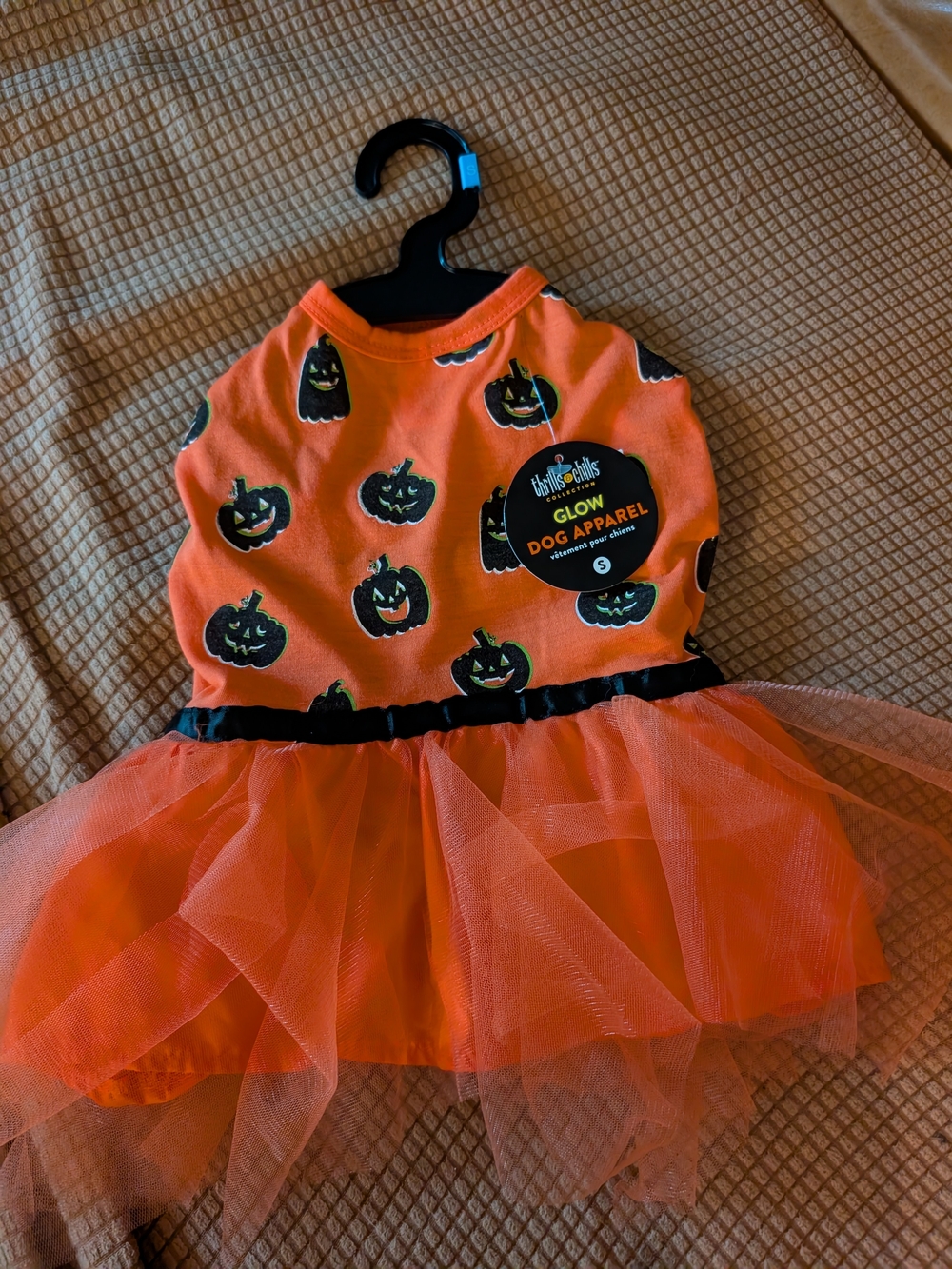 NWT Orange Halloween Pumpkin Tulle Dog Costume